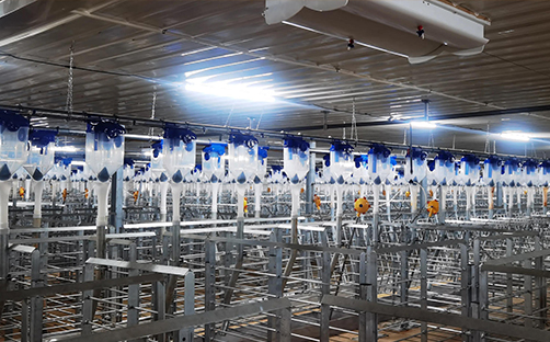 Smart Breeding System