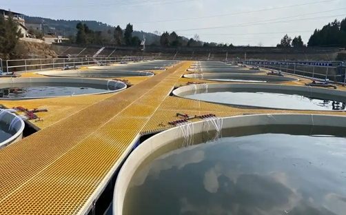 Aquaculture Water Quality Monitoring